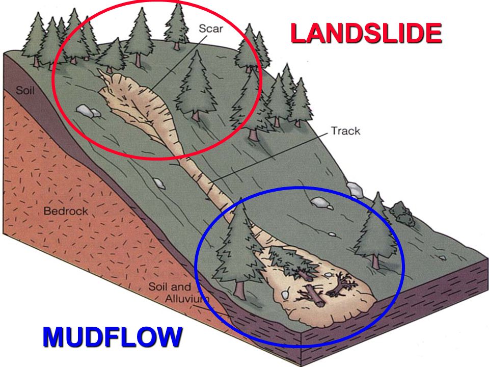 UVM Geohazards 1 LANDSLIDES VS. MUDFLOWS MUDFLOW LANDSLIDE