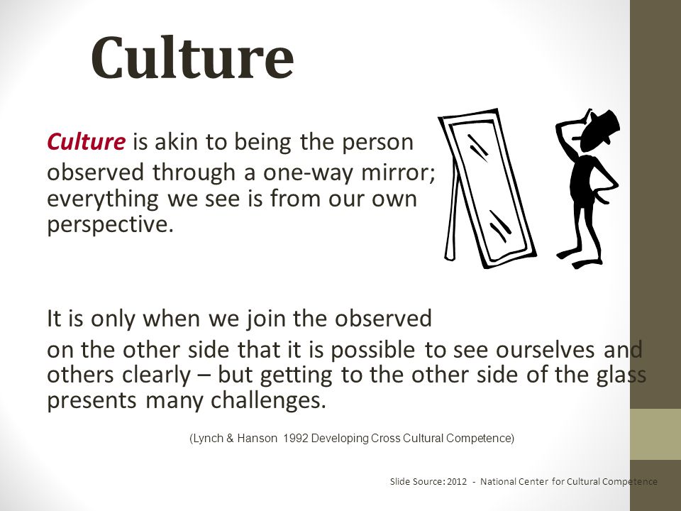 Culture Culture is an integrated pattern of human behavior which includes but is not limited to: thought languages values beliefs customs practices courtesies rituals communication roles relationships expected behaviors … of a racial, ethnic, religious, social, or political group; the ability to transmit the above to succeeding generations; dynamic in nature.