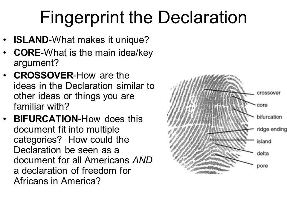 Fingerprint the Declaration ISLAND-What makes it unique.