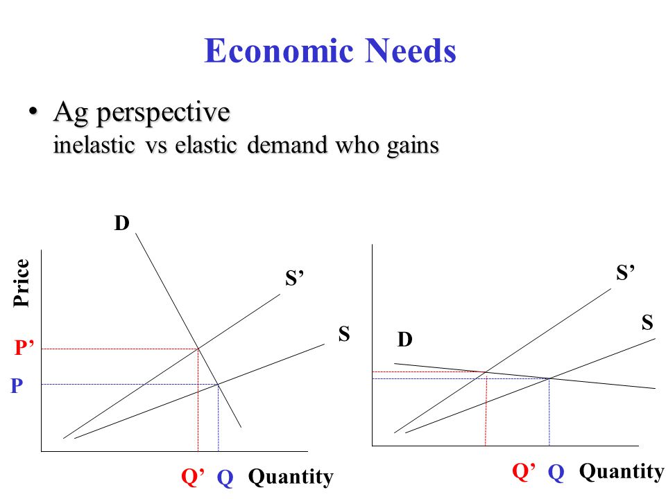 Ag perspective inelastic vs elastic demand who gains Ag perspective inelastic vs elastic demand who gains Economic Needs Price S’ D S Quantity P’ Q’ P Q S’ D S QuantityQ’ Q