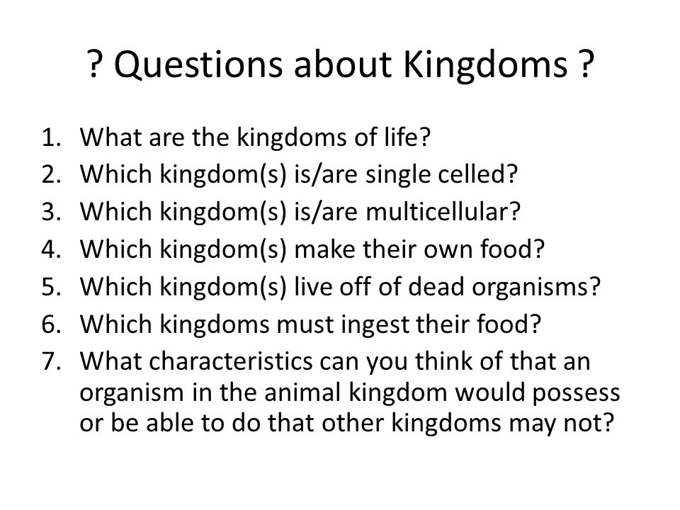Taxonomy Diversity of Life Animal Kingdom. ? Questions about Kingdoms ?   are the kingdoms of life?  kingdom(s) is/are single celled?  . - ppt download