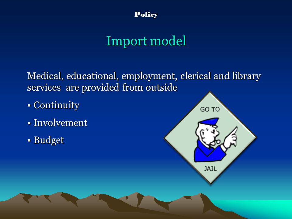 Import model Medical, educational, employment, clerical and library services are provided from outside Continuity Continuity Involvement Involvement Budget Budget Policy