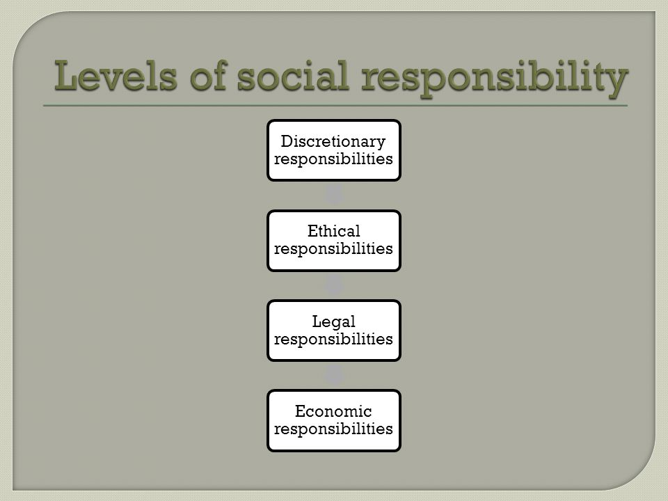 Discretionary responsibilities Ethical responsibilities Legal responsibilities Economic responsibilities