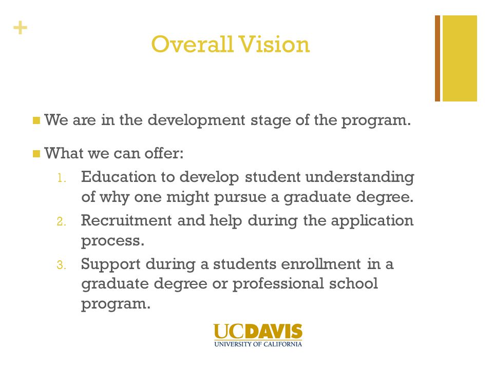 + Overall Vision We are in the development stage of the program.