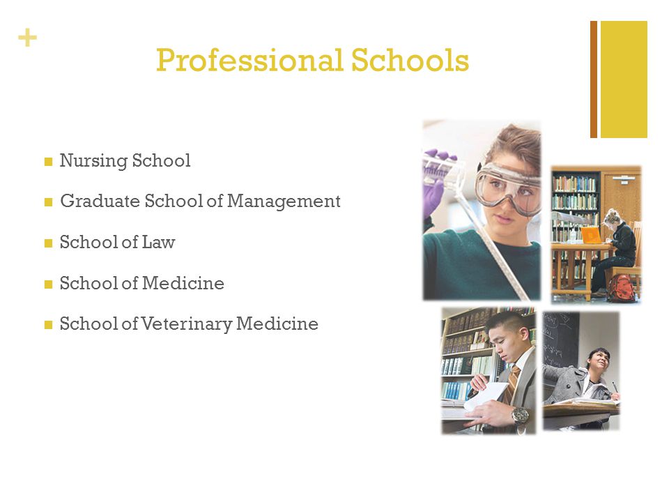 + Professional Schools Nursing School Graduate School of Management School of Law School of Medicine School of Veterinary Medicine