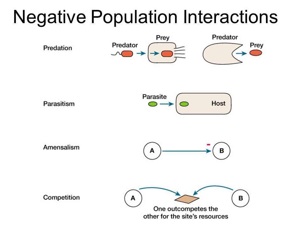 Negative Population Interactions