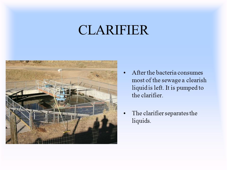 CLARIFIER After the bacteria consumes most of the sewage a clearish liquid is left.