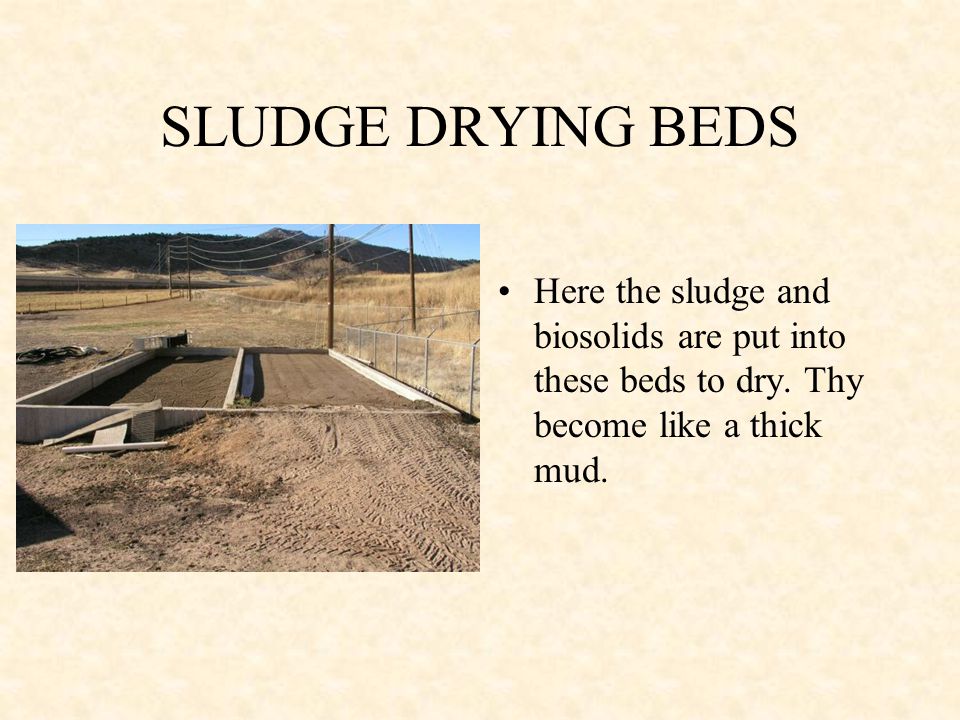 SLUDGE DRYING BEDS Here the sludge and biosolids are put into these beds to dry.