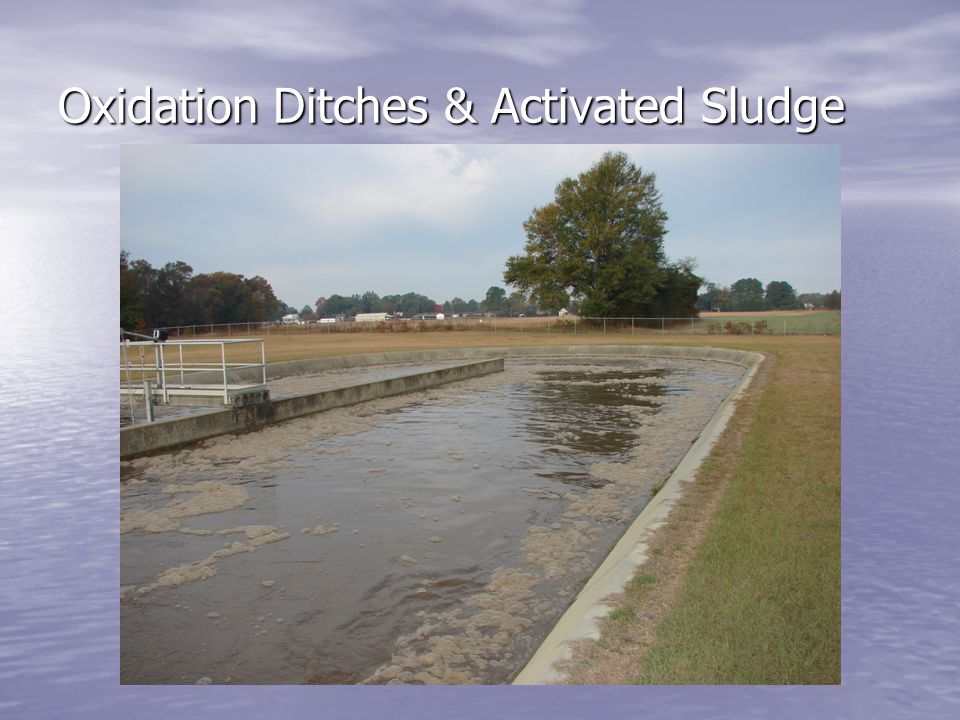 Oxidation Ditches & Activated Sludge
