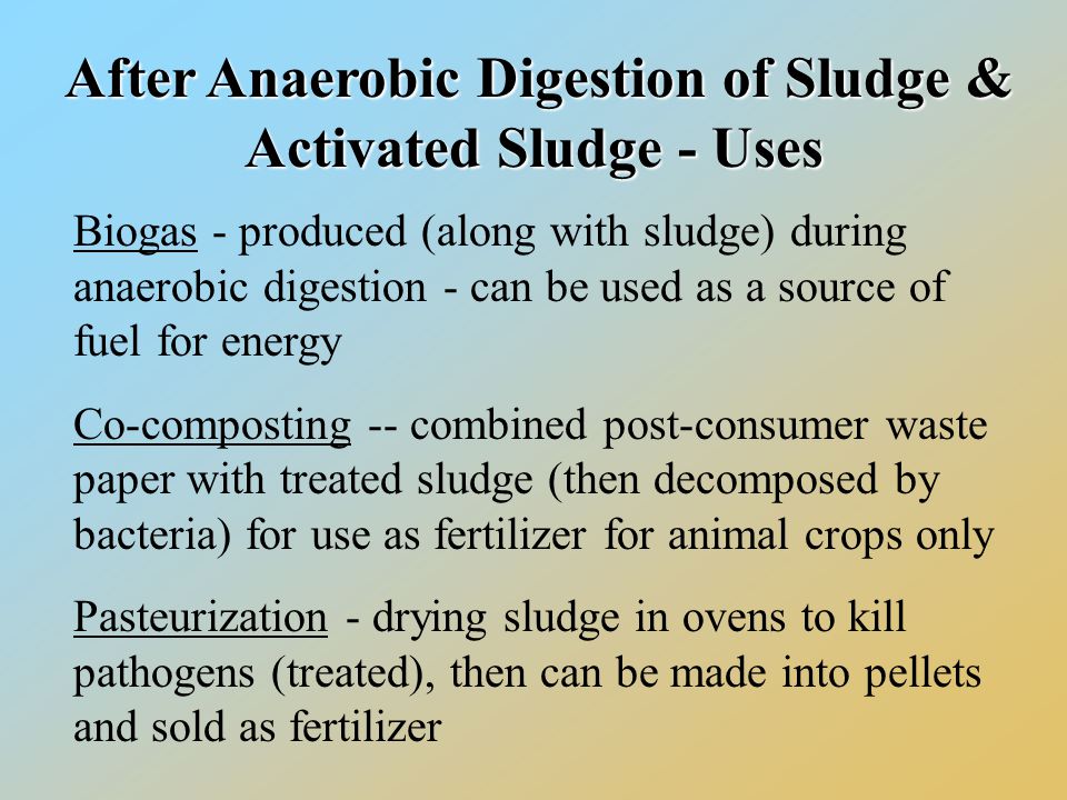 After Anaerobic Digestion of Sludge & Activated Sludge - Uses After Anaerobic Digestion of Sludge & Activated Sludge - Uses Biogas - produced (along with sludge) during anaerobic digestion - can be used as a source of fuel for energy Co-composting -- combined post-consumer waste paper with treated sludge (then decomposed by bacteria) for use as fertilizer for animal crops only Pasteurization - drying sludge in ovens to kill pathogens (treated), then can be made into pellets and sold as fertilizer
