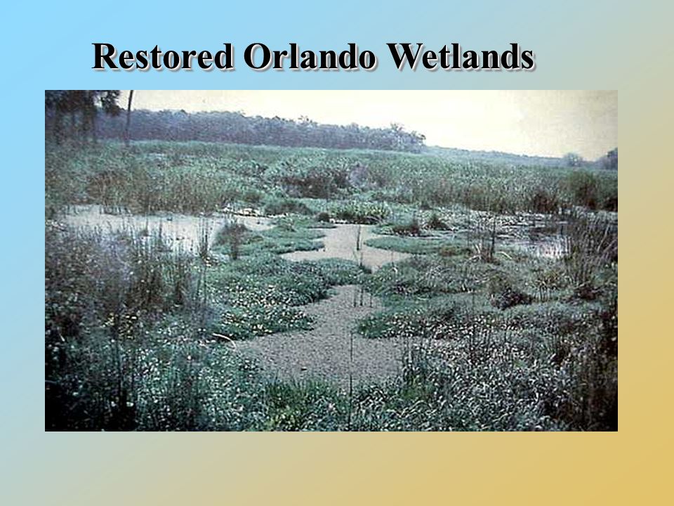 RestoredOrlandoWetlands Restored Orlando Wetlands