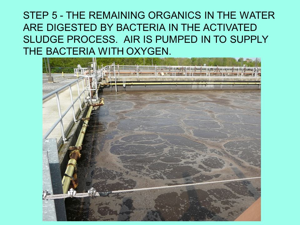 STEP 5 - THE REMAINING ORGANICS IN THE WATER ARE DIGESTED BY BACTERIA IN THE ACTIVATED SLUDGE PROCESS.