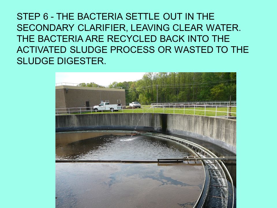 STEP 6 - THE BACTERIA SETTLE OUT IN THE SECONDARY CLARIFIER, LEAVING CLEAR WATER.