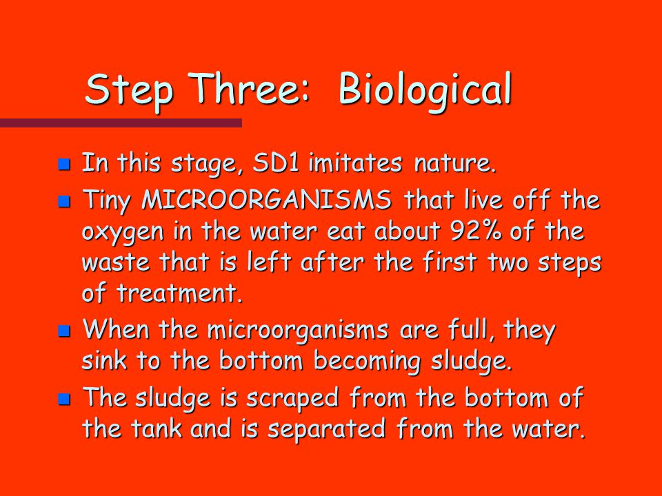 Step Three: Biological n In this stage, SD1 imitates nature.