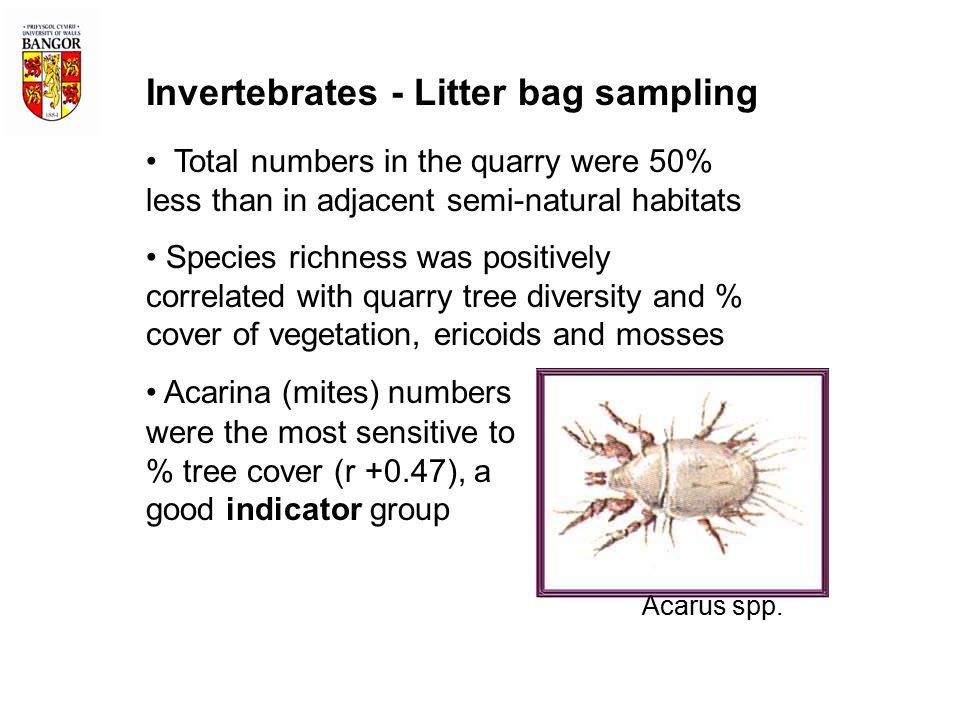 Invertebrates - Litter bag sampling Total numbers in the quarry were 50% less than in adjacent semi-natural habitats Species richness was positively correlated with quarry tree diversity and % cover of vegetation, ericoids and mosses Acarina (mites) numbers were the most sensitive to % tree cover (r +0.47), a good indicator group Acarus spp.