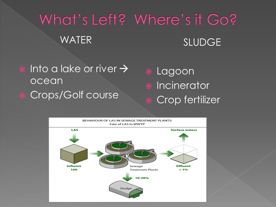 WATER  Into a lake or river  ocean  Crops/Golf course SLUDGE  Lagoon  Incinerator  Crop fertilizer