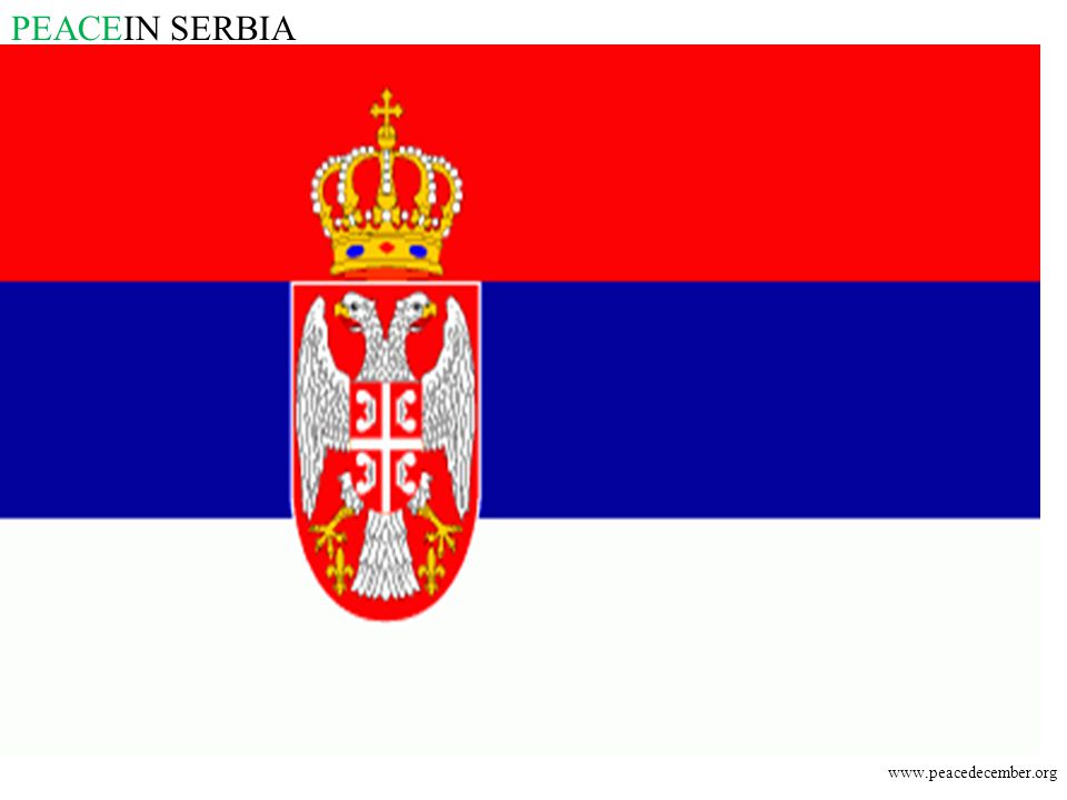PEACEIN SERBIA