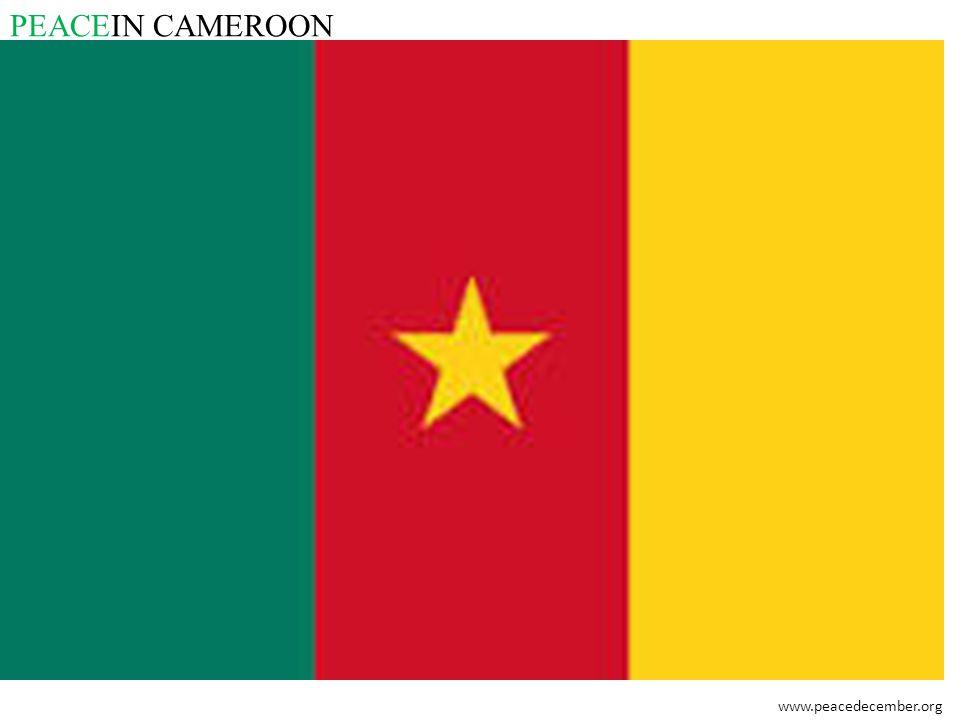 PEACEIN CAMEROON