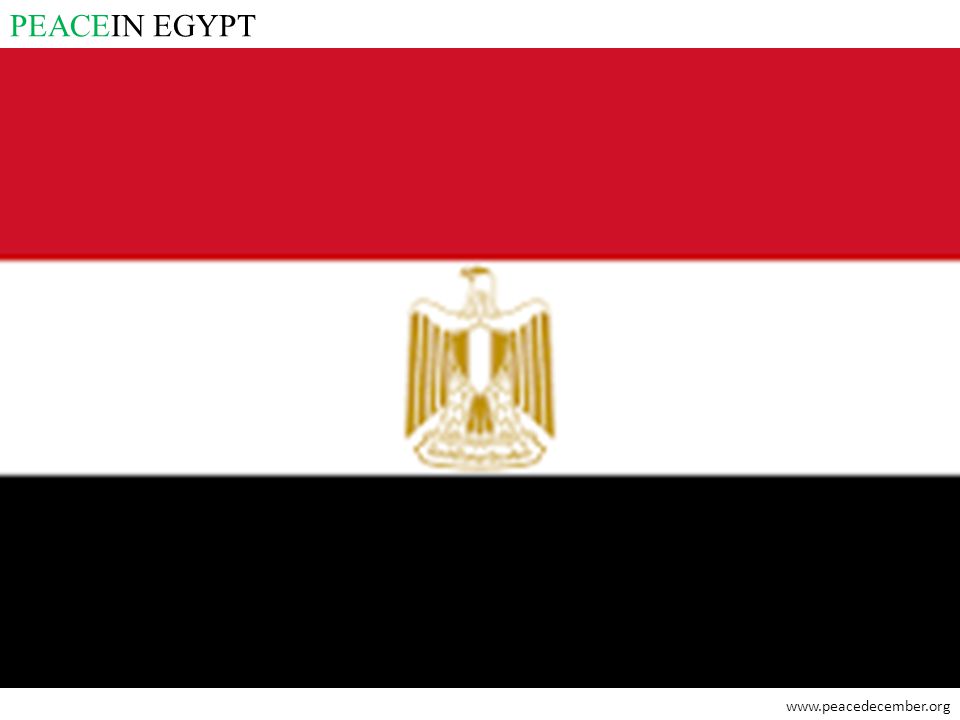 PEACEIN EGYPT