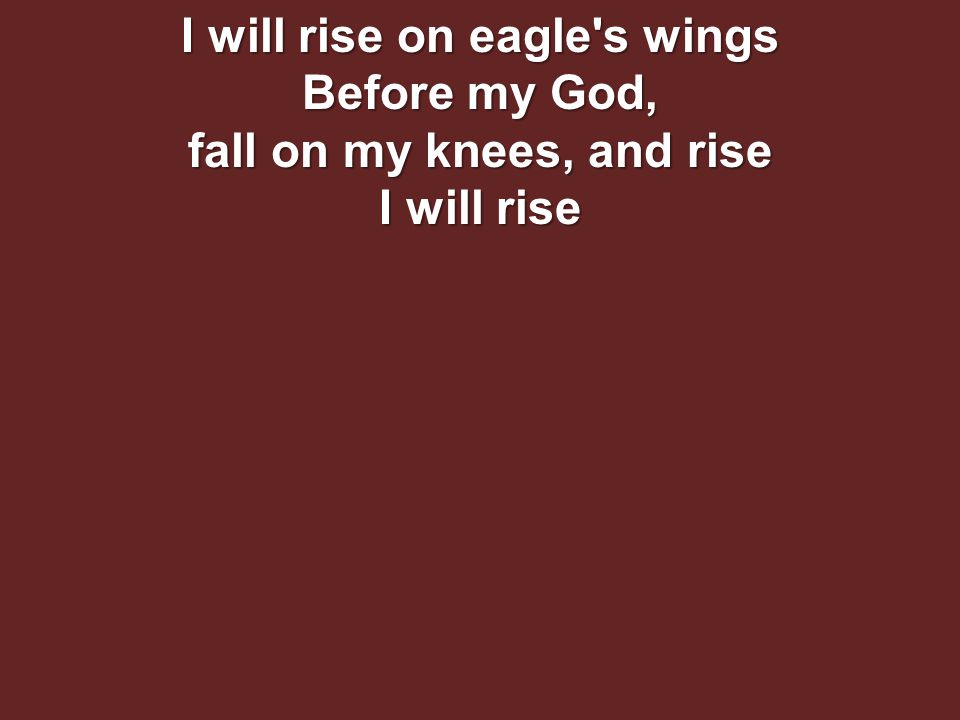 I will rise on eagle s wings Before my God, fall on my knees, and rise I will rise