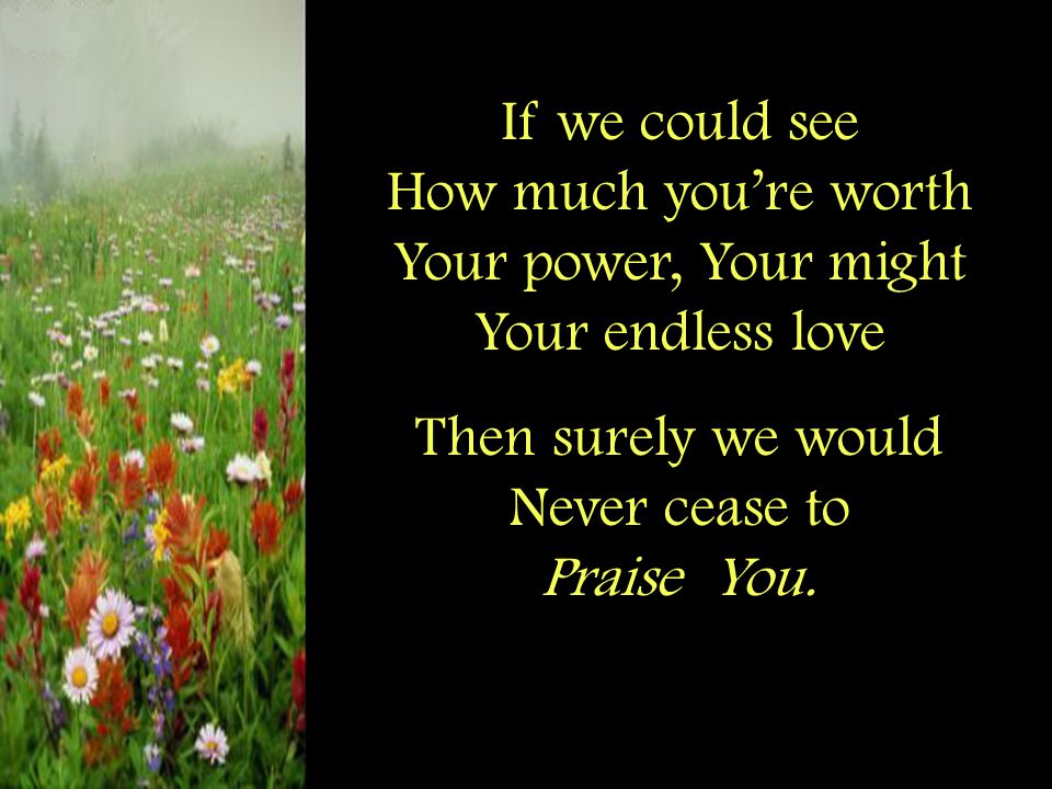 If we could see How much you’re worth Your power, Your might Your endless love Then surely we would Never cease to Praise You.