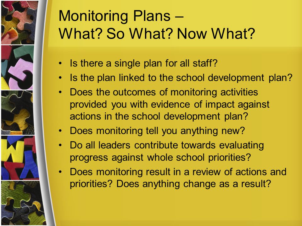 Monitoring Plans – What. So What. Now What. Is there a single plan for all staff.