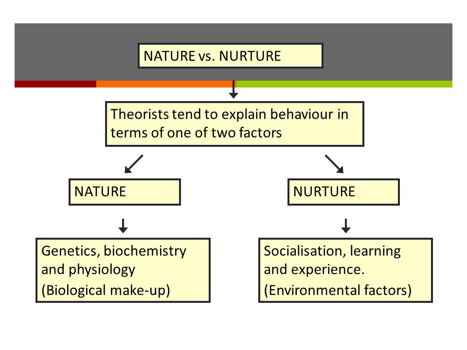 nature nurture theory