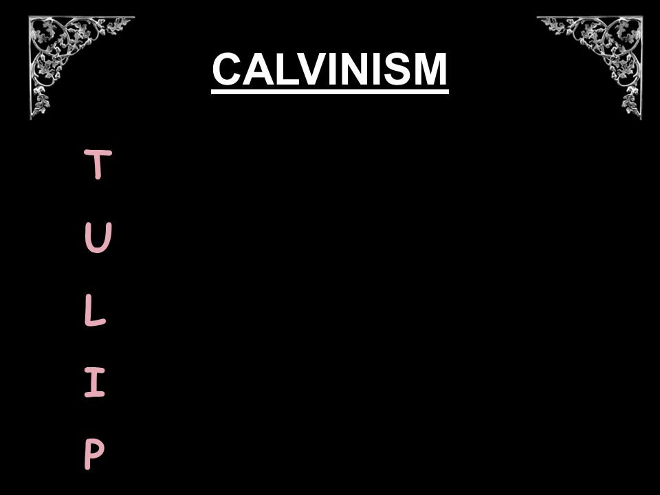 TULIPTULIP CALVINISM