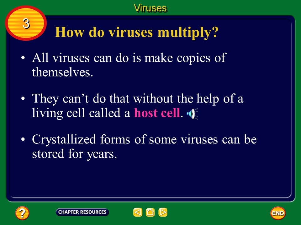 What are viruses. A virus is a strand of hereditary material surrounded by a protein coating.