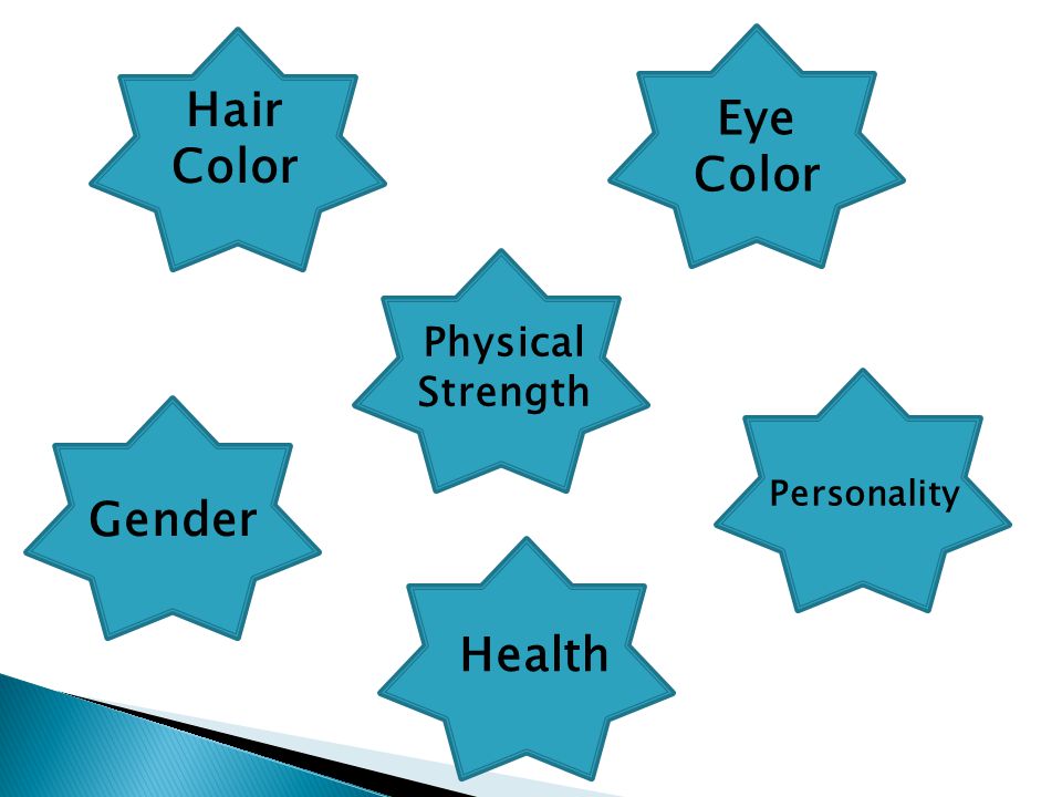Hair Color Health Gender Personality Physical Strength Eye Color