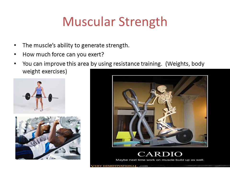 Muscular Strength The muscle’s ability to generate strength.