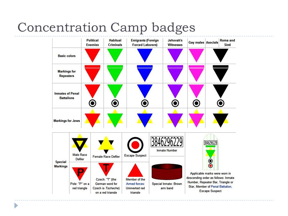 Concentration Camp badges