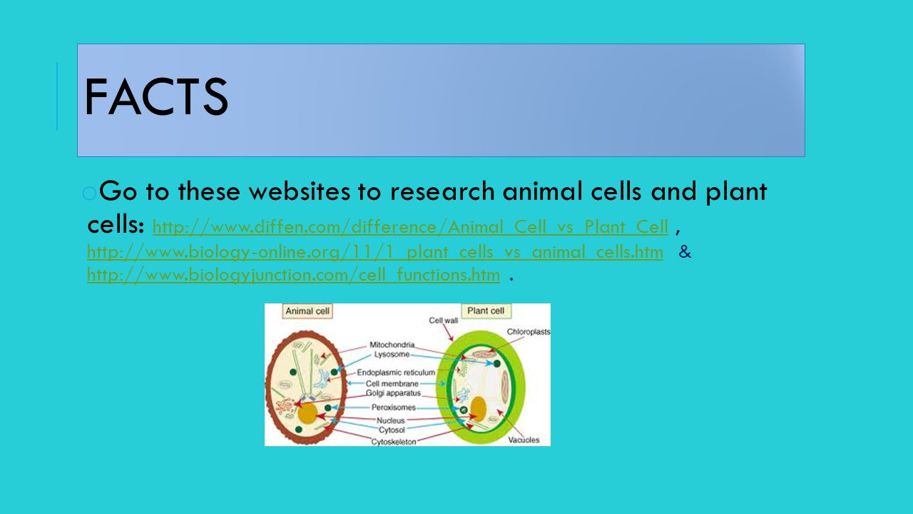 ANIMAL & PLANT CELLS Mollie Billings. Content Area: Science Grade Level:  Fifth Summary: The purpose of this instructional PowerPoint is to have the  students. - ppt download