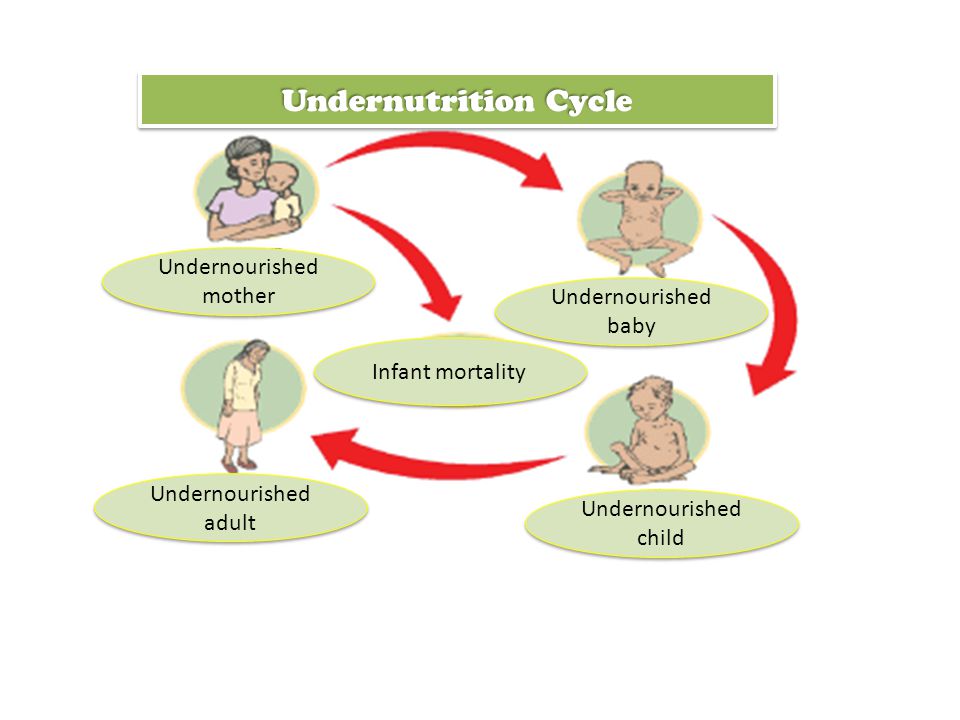 Undernourished mother Undernourished baby Undernourished baby Undernourished child Undernourished adult Infant mortality Undernutrition Cycle
