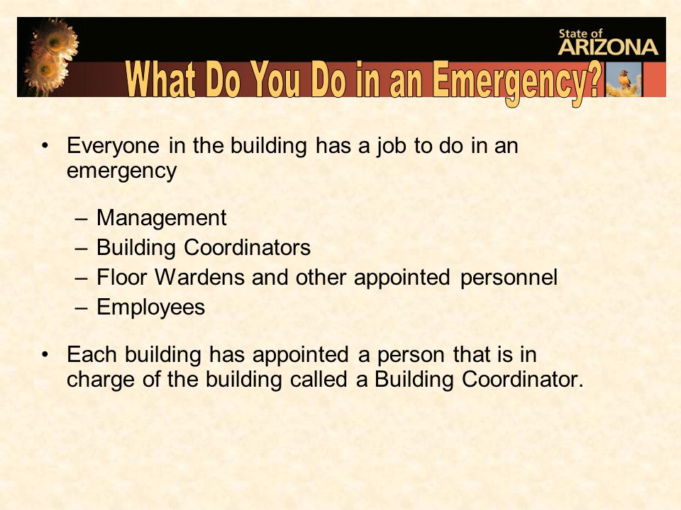 Everyone in the building has a job to do in an emergency –Management –Building Coordinators –Floor Wardens and other appointed personnel –Employees Each building has appointed a person that is in charge of the building called a Building Coordinator.