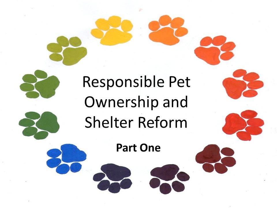 Responsible Pet Ownership and Shelter Reform Part One