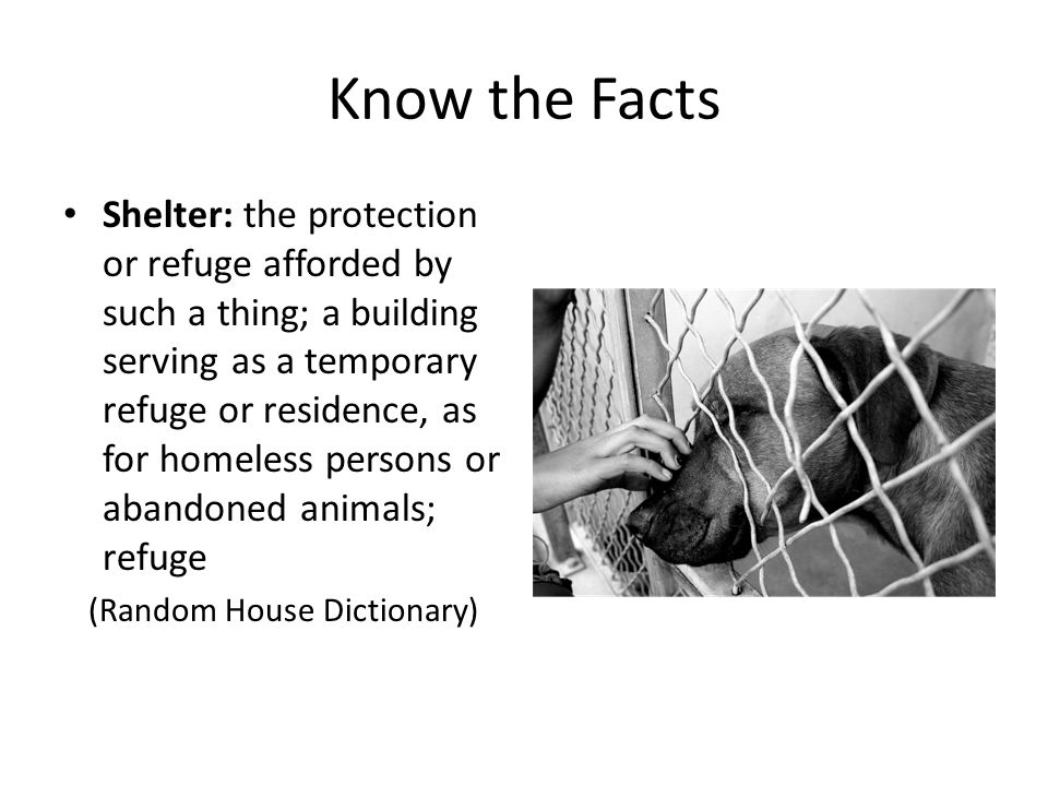 Know the Facts Shelter: the protection or refuge afforded by such a thing; a building serving as a temporary refuge or residence, as for homeless persons or abandoned animals; refuge (Random House Dictionary)