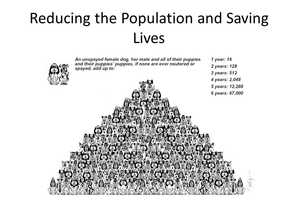 Reducing the Population and Saving Lives
