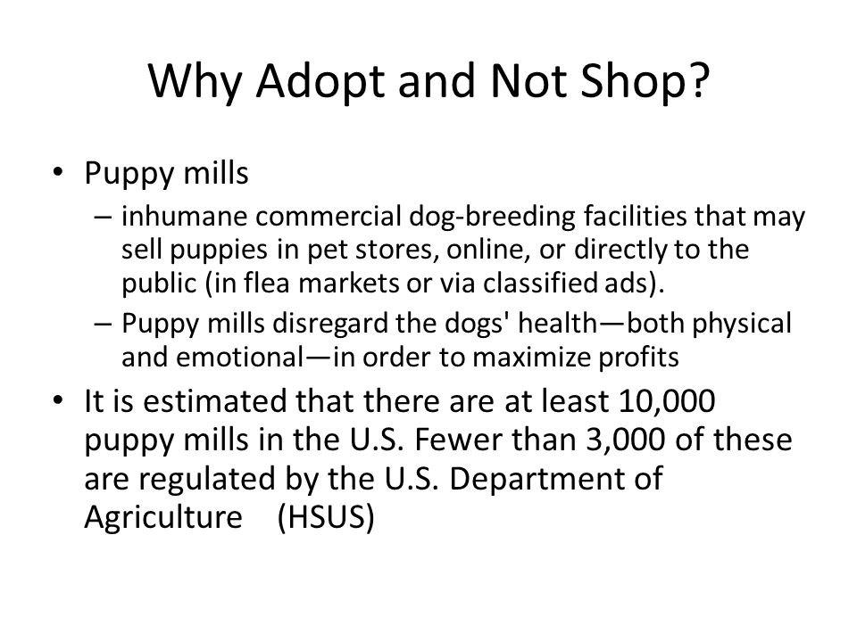 Why Adopt and Not Shop.