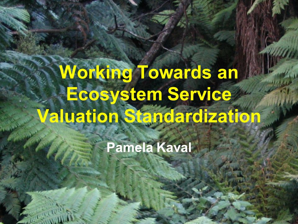 Working Towards an Ecosystem Service Valuation Standardization Pamela Kaval