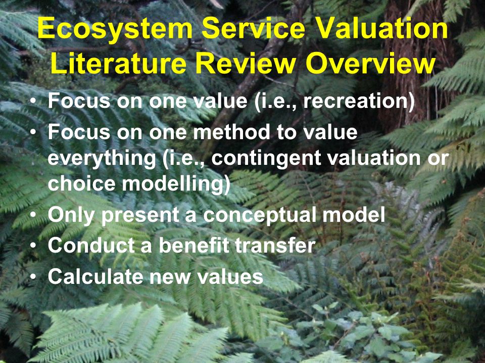 Ecosystem Service Valuation Literature Review Overview Focus on one value (i.e., recreation) Focus on one method to value everything (i.e., contingent valuation or choice modelling) Only present a conceptual model Conduct a benefit transfer Calculate new values