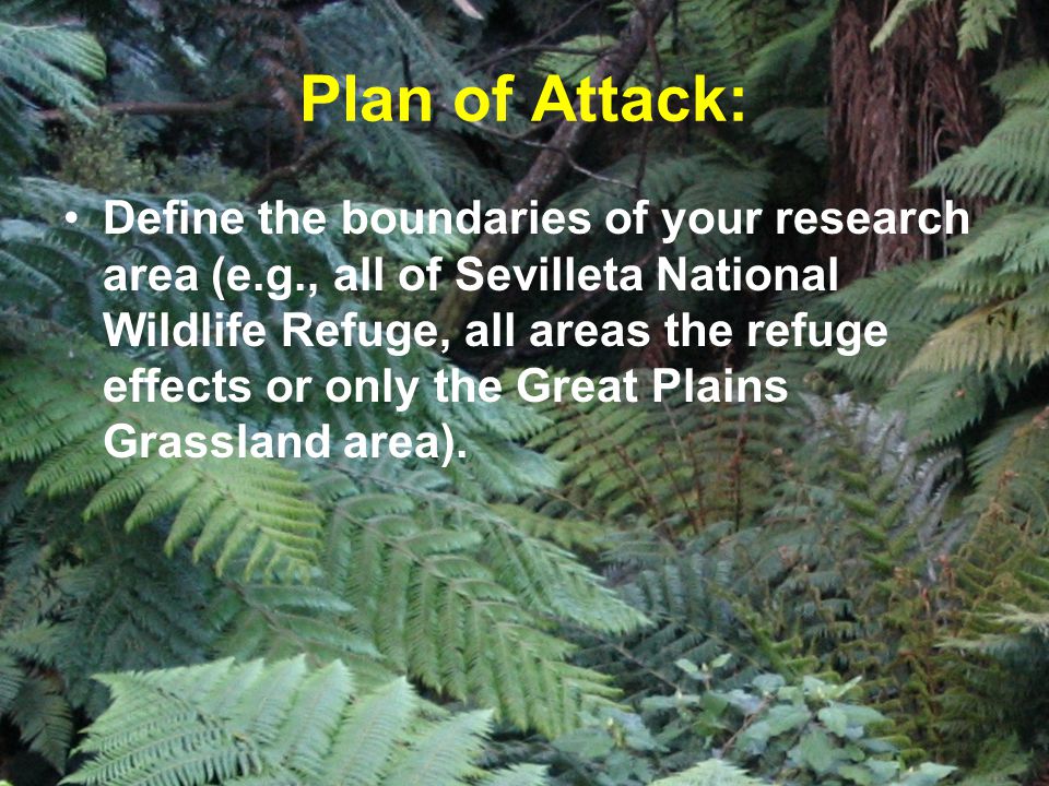 Plan of Attack: Define the boundaries of your research area (e.g., all of Sevilleta National Wildlife Refuge, all areas the refuge effects or only the Great Plains Grassland area).