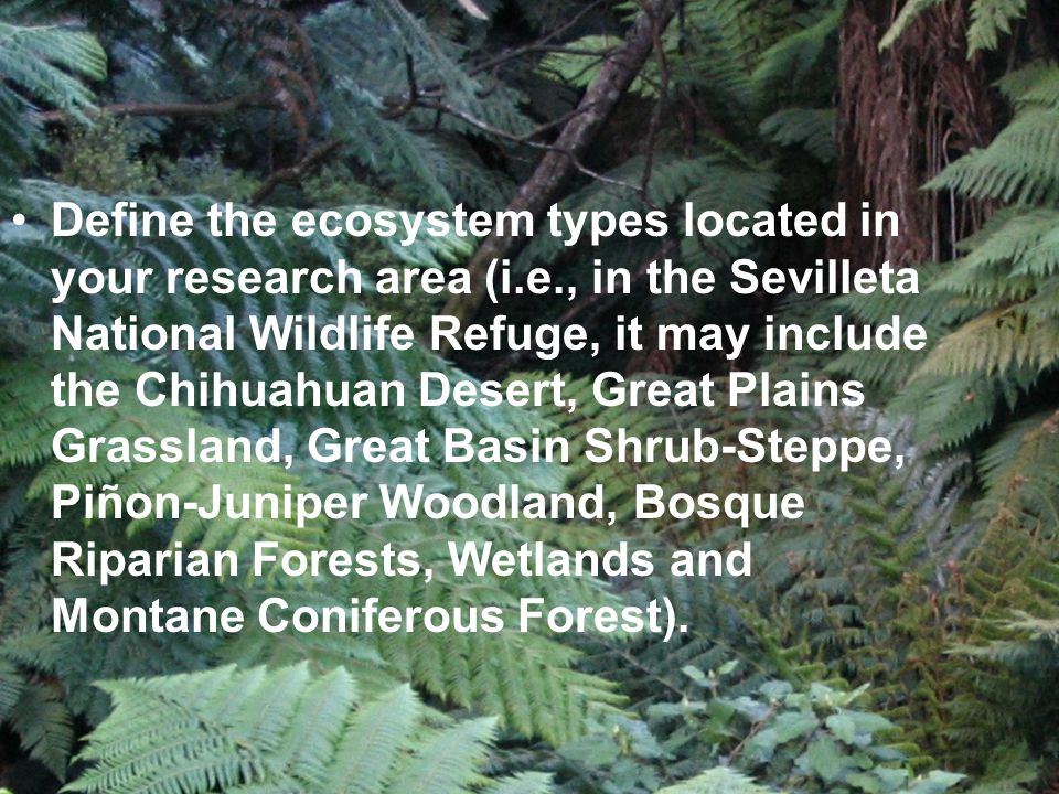 Define the ecosystem types located in your research area (i.e., in the Sevilleta National Wildlife Refuge, it may include the Chihuahuan Desert, Great Plains Grassland, Great Basin Shrub-Steppe, Piñon-Juniper Woodland, Bosque Riparian Forests, Wetlands and Montane Coniferous Forest).