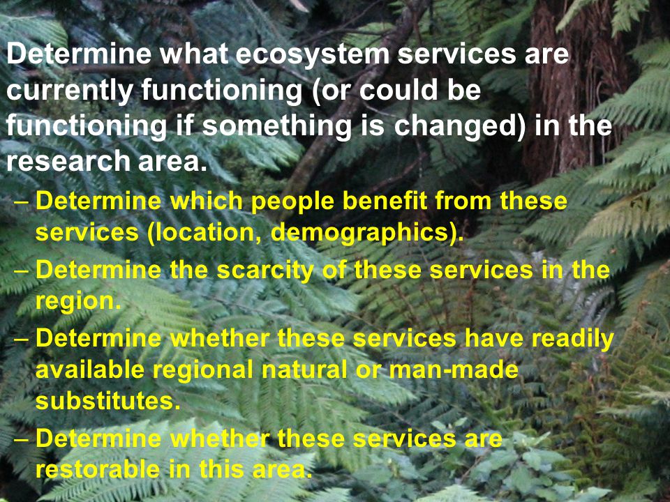 Determine what ecosystem services are currently functioning (or could be functioning if something is changed) in the research area.