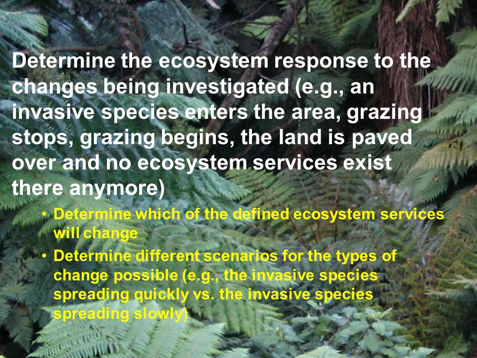 Determine the ecosystem response to the changes being investigated (e.g., an invasive species enters the area, grazing stops, grazing begins, the land is paved over and no ecosystem services exist there anymore) Determine which of the defined ecosystem services will change Determine different scenarios for the types of change possible (e.g., the invasive species spreading quickly vs.