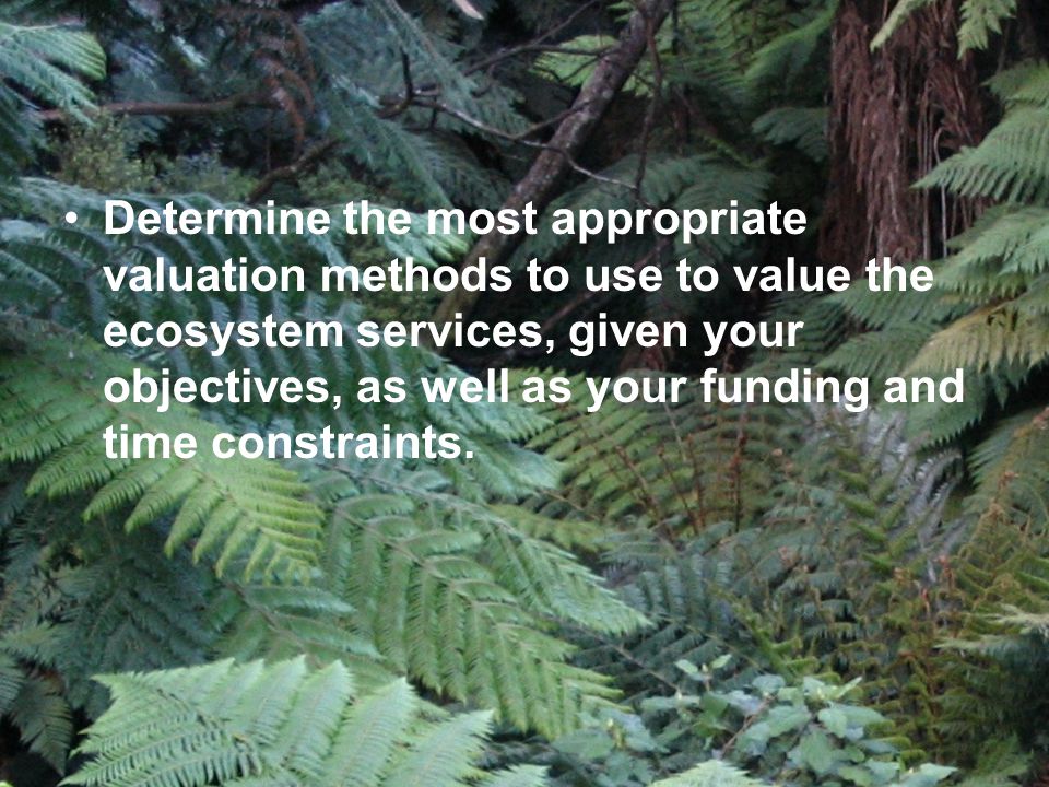 Determine the most appropriate valuation methods to use to value the ecosystem services, given your objectives, as well as your funding and time constraints.