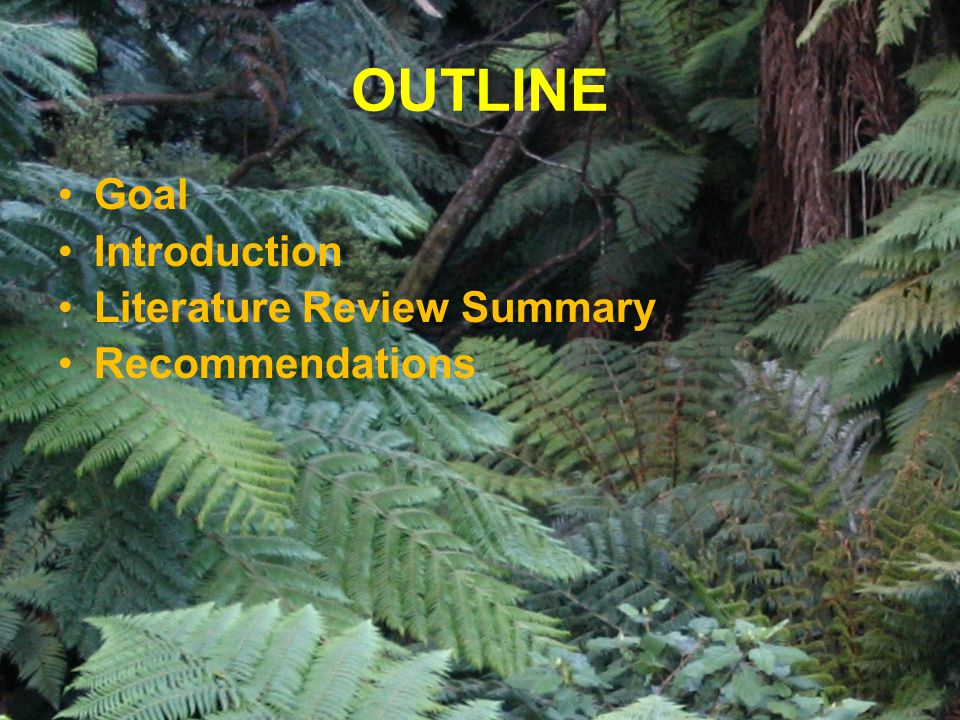 Goal Introduction Literature Review Summary Recommendations OUTLINE