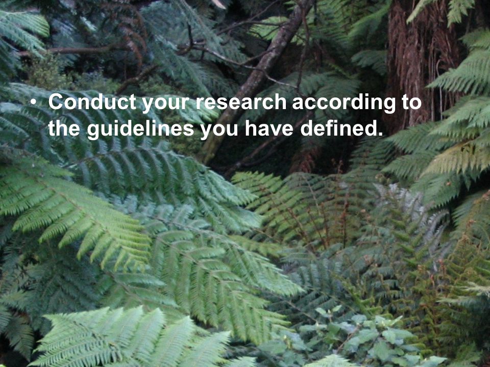 Conduct your research according to the guidelines you have defined.