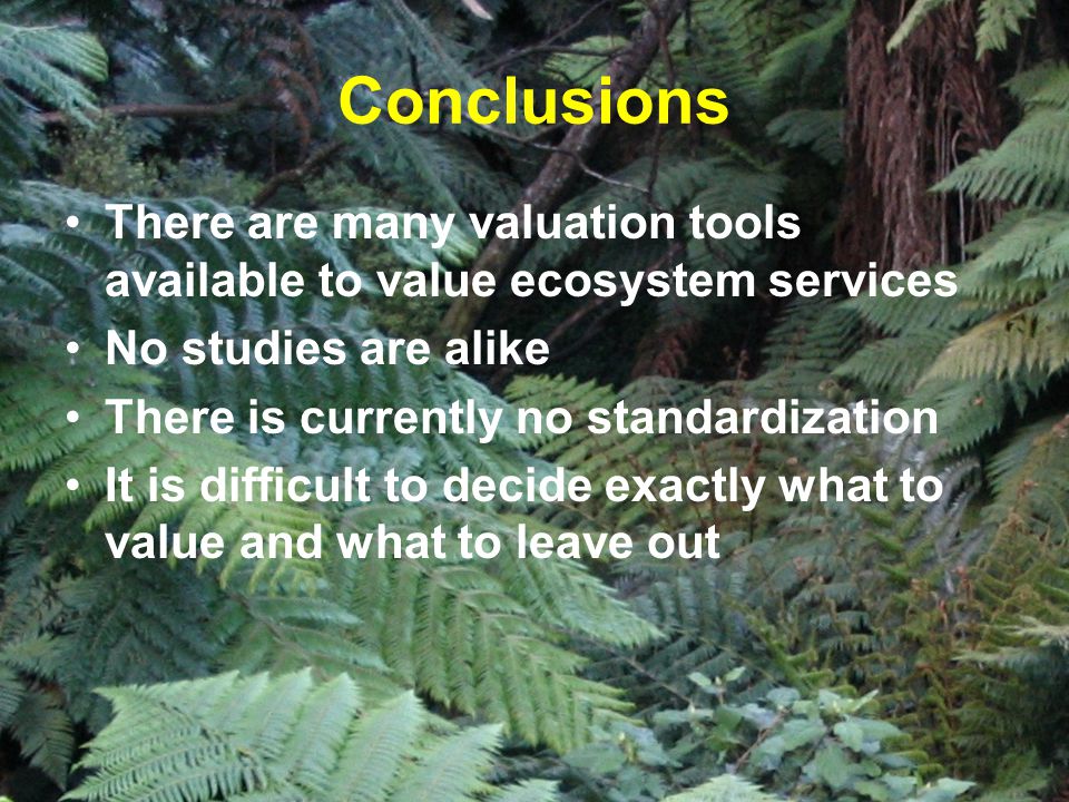 Conclusions There are many valuation tools available to value ecosystem services No studies are alike There is currently no standardization It is difficult to decide exactly what to value and what to leave out