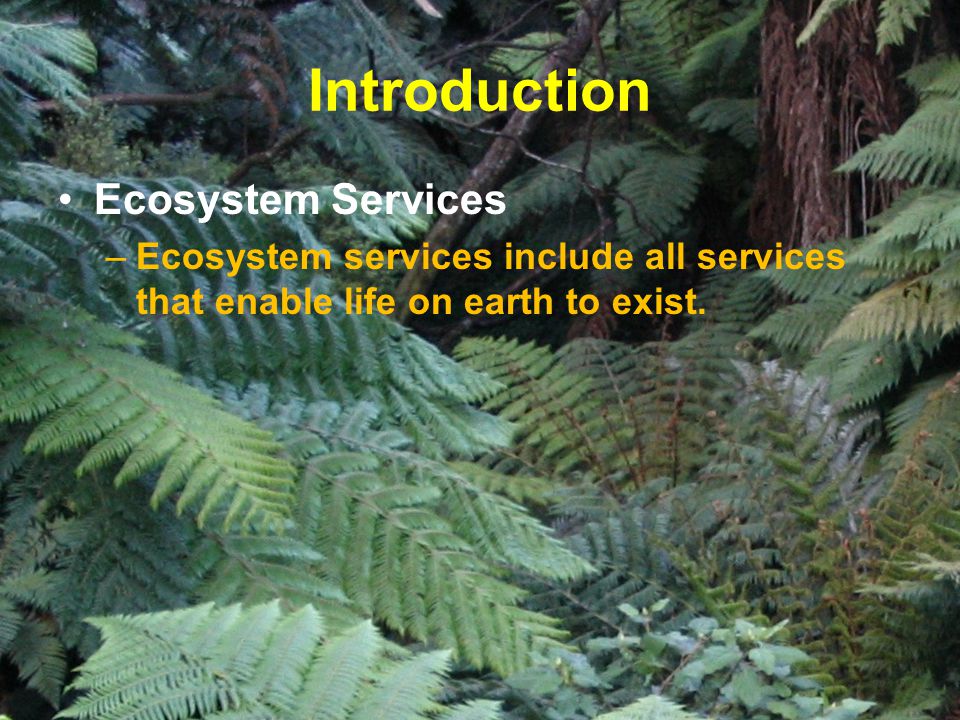 Introduction Ecosystem Services –Ecosystem services include all services that enable life on earth to exist.